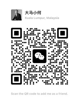 微信尊享通道-大马小何